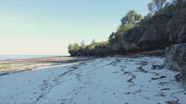 Toto Stock Video Ukazuje Prázdnou Pláž Ostrově Zanzibar Tanzanie Zpomalení — Stock video