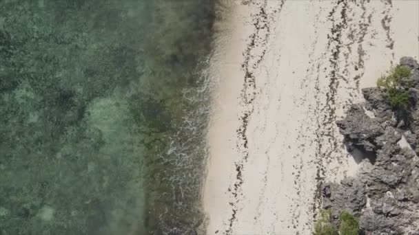 Відео Показує Порожній Пляж Острові Занзібар Танзанія Сповільнення Руху Роздільній — стокове відео