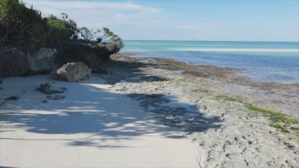 Stock Video Shows Empty Beach Island Zanzibar Tanzania Slow Motion — Video