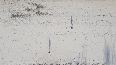 Bu video 8K çözünürlükte Tanzanya 'nın Zanzibar plajında futbol oynayan insanları gösteriyor.