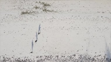 Bu video 8K çözünürlükte Tanzanya 'nın Zanzibar plajında futbol oynayan insanları gösteriyor.