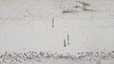 Bu video 8K çözünürlükte Tanzanya 'nın Zanzibar plajında futbol oynayan insanları gösteriyor.