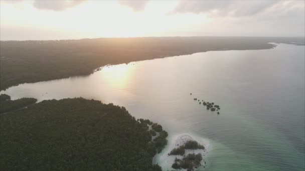 Nagranie Pokazuje Widok Lotu Ptaka Wybrzeże Wyspy Zanzibar Tanzanii Pokryte — Wideo stockowe