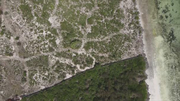 Видео Показывает Воздушный Вид Побережье Острова Занзибар Танзания Покрытое Толщами — стоковое видео