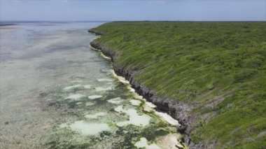 Bu stok videosu Tanzanya 'nın Zanzibar adası kıyılarının çalılıklarla kaplı bir görüntüsünü gösteriyor.