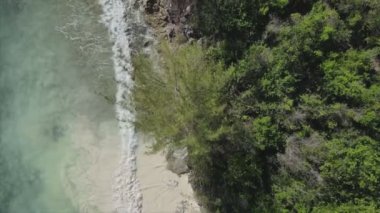 Bu stok videosu Tanzanya 'nın Zanzibar adası kıyılarının çalılıklarla kaplı bir görüntüsünü gösteriyor.