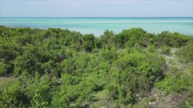 Bu stok videosu Tanzanya 'nın Zanzibar adası kıyılarının çalılıklarla kaplı bir görüntüsünü gösteriyor.