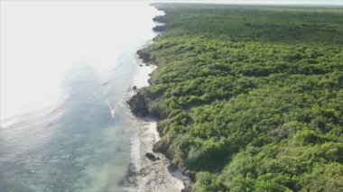 Bu stok videosu Tanzanya 'nın Zanzibar adası kıyılarının çalılıklarla kaplı bir görüntüsünü gösteriyor.