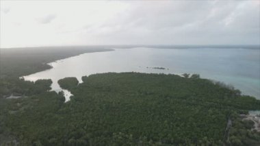 Bu stok videosu Tanzanya 'nın Zanzibar adası kıyılarının çalılıklarla kaplı bir görüntüsünü gösteriyor.
