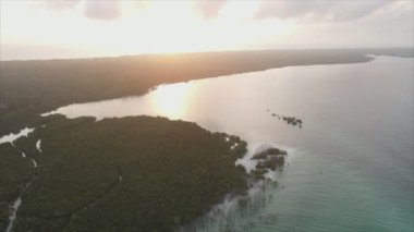 Bu stok videosu Tanzanya 'nın Zanzibar adası kıyılarının çalılıklarla kaplı bir görüntüsünü gösteriyor.