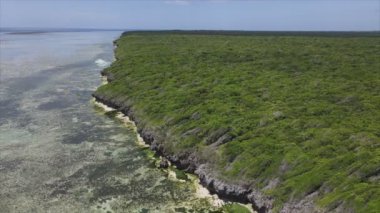 Bu stok videosu Tanzanya 'nın Zanzibar adası kıyılarının çalılıklarla kaplı bir görüntüsünü gösteriyor.