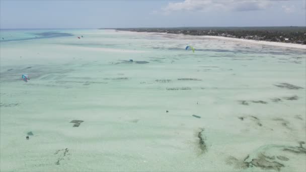 Stock Video Shows Kitesurf Coast Zanzibar Tanzania Resolution — Video Stock