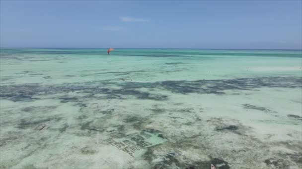 Stock Video Shows Kitesurf Coast Zanzibar Tanzania Resolution — стоковое видео