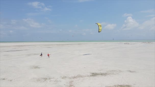 Stock Video Shows Kitesurf Coast Zanzibar Tanzania Resolution — Stock Video