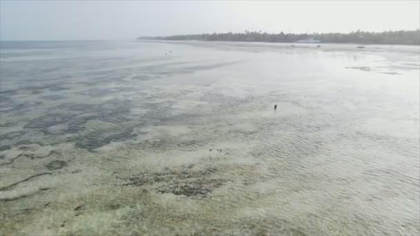 화면은 탄자니아 잔지바르 해안에서 떨어진 바다에서의 조수의 사진을 해상도로 줍니다 — 비디오
