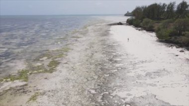 Bu stok videosu 8K çözünürlükte Tanzanya, Zanzibar açıklarındaki okyanusta alçak gelgitin havadan görüntüsünü gösteriyor.