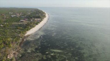 Bu stok videosu 8K çözünürlükte Tanzanya, Zanzibar açıklarındaki okyanusta alçak gelgitin havadan görüntüsünü gösteriyor.