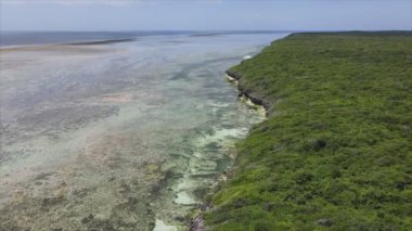 Bu stok videosu 8K çözünürlükte Tanzanya, Zanzibar açıklarındaki okyanusta alçak gelgitin havadan görüntüsünü gösteriyor.