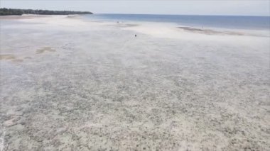 Bu stok videosu 8K çözünürlükte Tanzanya, Zanzibar açıklarındaki okyanusta alçak gelgitin havadan görüntüsünü gösteriyor.