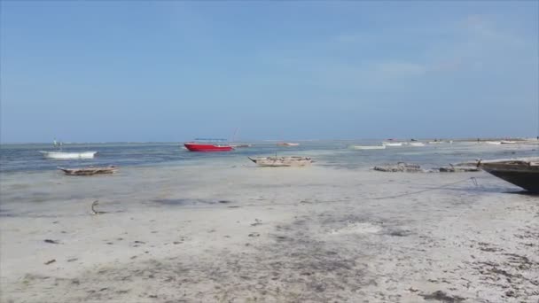 Stock Video Shows Aerial View Low Tide Ocean Coast Zanzibar — Vídeo de stock