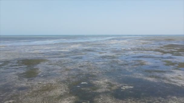 Stock Video Shows Aerial View Low Tide Ocean Coast Zanzibar — Vídeo de Stock