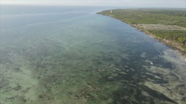 Bu stok videosu 8K çözünürlükte Tanzanya, Zanzibar açıklarındaki okyanusta alçak gelgitin havadan görüntüsünü gösteriyor.