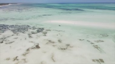 Bu stok videosu 8K çözünürlükte Zanzibar açıklarında okyanusta alçak gelgitin havadan görüntüsünü gösteriyor.