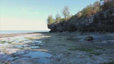 Bu stok videosu 8K çözünürlükte Tanzanya, Zanzibar açıklarındaki okyanusta alçak gelgitin havadan görüntüsünü gösteriyor.