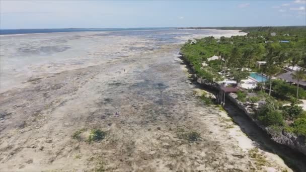 このストックビデオは 8K解像度でタンザニアのザンジバル海岸沖の低潮位の空中ビューを示しています — ストック動画