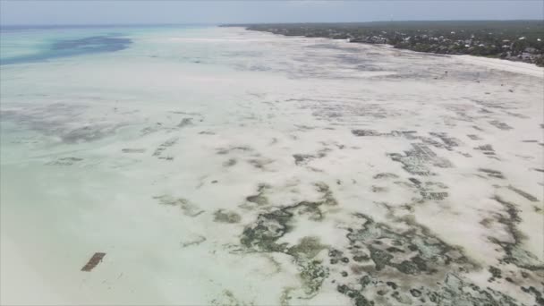 Stock Video Shows Aerial View Low Tide Ocean Coast Zanzibar — Vídeo de Stock
