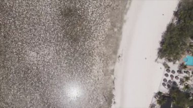 Bu stok videosu 8K çözünürlükte Tanzanya, Zanzibar açıklarındaki okyanusta alçak gelgitin havadan görüntüsünü gösteriyor.