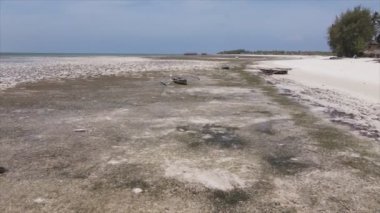 Bu stok videosu 8K çözünürlükte Zanzibar açıklarında okyanusta alçak gelgitin havadan görüntüsünü gösteriyor.