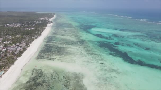 Stock Video Shows Aerial View Low Tide Ocean Coast Zanzibar — 图库视频影像