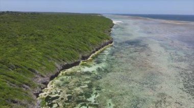 Bu stok videosu 8K çözünürlükte Tanzanya, Zanzibar açıklarındaki okyanusta alçak gelgitin havadan görüntüsünü gösteriyor.
