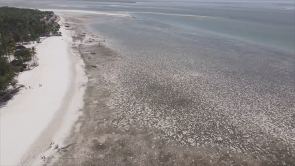 Ten Film Pokazuje Widok Lotu Ptaka Oceanie Wybrzeży Zanzibaru Tanzanii — Wideo stockowe