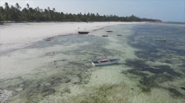 Bu stok videosu 8K çözünürlükte Tanzanya, Zanzibar açıklarındaki okyanusta alçak gelgitin havadan görüntüsünü gösteriyor.