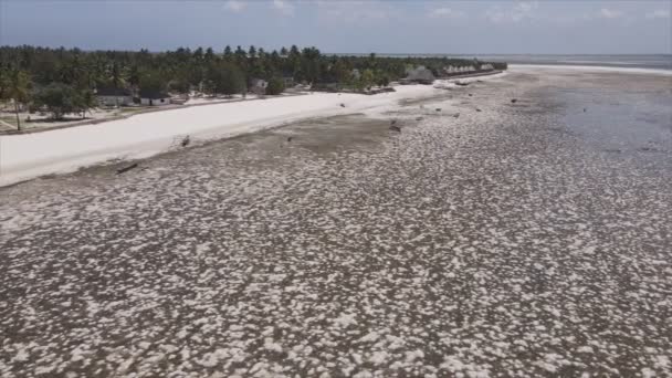 Questo Video Mostra Vista Aerea Della Bassa Marea Nell Oceano — Video Stock