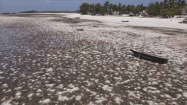 Bu stok videosu 8K çözünürlükte Tanzanya, Zanzibar açıklarındaki okyanusta alçak gelgitin havadan görüntüsünü gösteriyor.