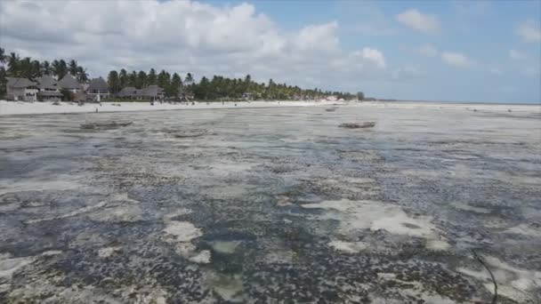 화면은 탄자니아 잔지바르 해안에서 떨어진 바다에서의 조수의 사진을 해상도로 줍니다 — 비디오