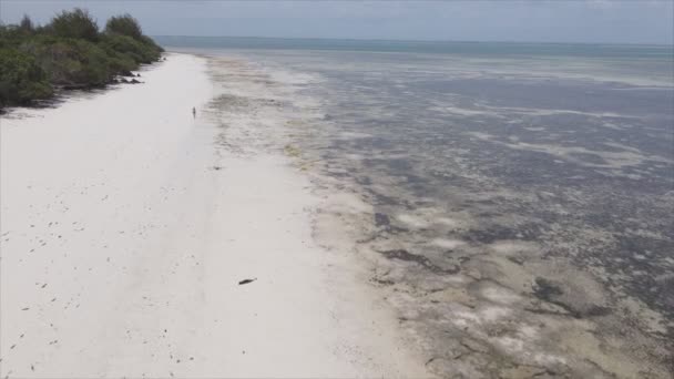 Stock Video Shows Aerial View Low Tide Ocean Coast Zanzibar — Wideo stockowe