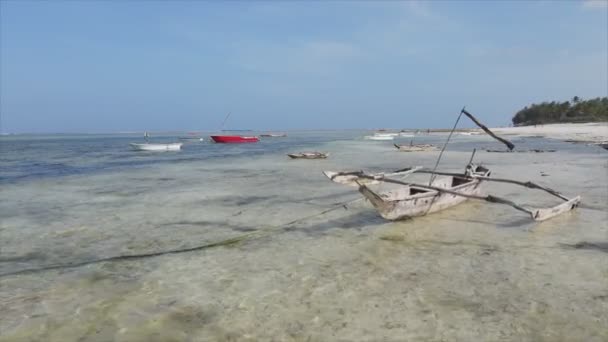 Állomány Videó Mutatja Légi Kilátás Apály Óceán Partjainál Zanzibar Tanzánia — Stock videók