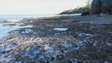 Bu stok videosu 8K çözünürlükte Tanzanya, Zanzibar açıklarındaki okyanusta alçak gelgitin havadan görüntüsünü gösteriyor.