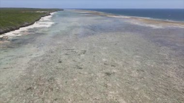Bu stok videosu 8K çözünürlükte Tanzanya, Zanzibar açıklarındaki okyanusta alçak gelgitin havadan görüntüsünü gösteriyor.