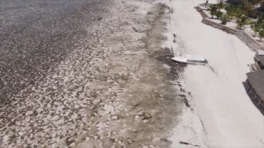 Bu stok videosu 8K çözünürlükte Tanzanya, Zanzibar açıklarındaki okyanusta alçak gelgitin havadan görüntüsünü gösteriyor.