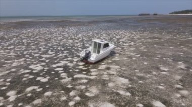 Bu stok videosu 8K çözünürlükte Tanzanya, Zanzibar açıklarındaki okyanusta alçak gelgitin havadan görüntüsünü gösteriyor.