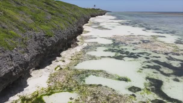 Відео Показує Повітряний Приплив Океані Біля Узбережжя Занзібару Танзанія Роздільною — стокове відео