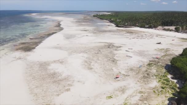 Відео Показує Повітряний Приплив Океані Біля Узбережжя Занзібару Роздільною Здатністю — стокове відео