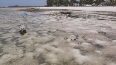 Bu stok videosu 8K çözünürlükte Tanzanya, Zanzibar açıklarındaki okyanusta alçak gelgitin havadan görüntüsünü gösteriyor.