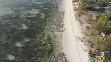 Bu stok videosu 8K çözünürlükte Zanzibar açıklarında okyanusta alçak gelgitin havadan görüntüsünü gösteriyor.