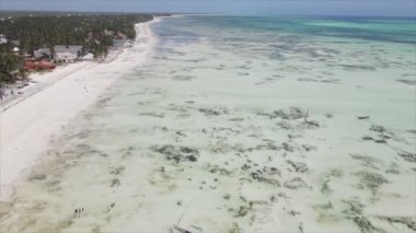 Bu stok videosu 8K çözünürlükte Tanzanya, Zanzibar açıklarındaki okyanusta alçak gelgitin havadan görüntüsünü gösteriyor.